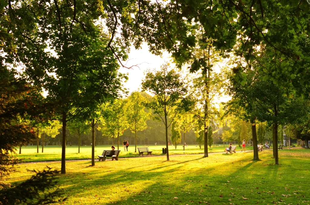 🌼 Les 6 Meilleures Activités en Plein Air à Lyon pour Profiter du Printemps 🌞