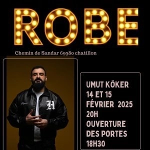 spectacle humour lyon