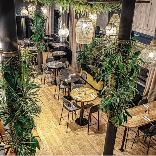 restautant festif kaia