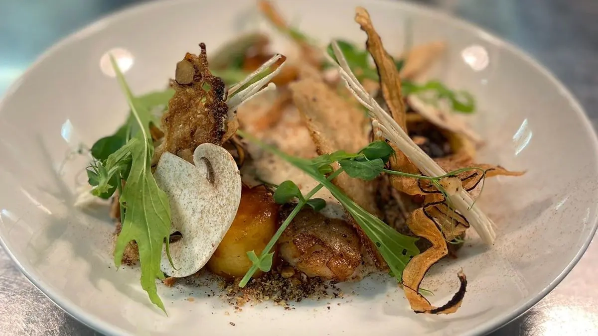 BO-2 BO-2