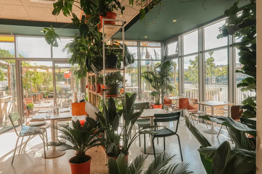 Botani café Botani café