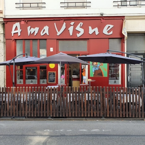 A ma vigne