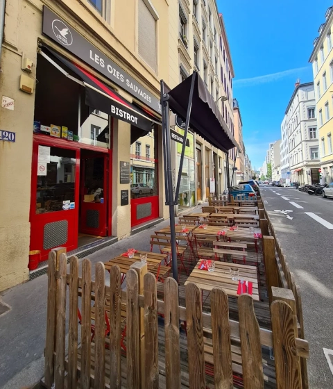 Les Oies Sauvages