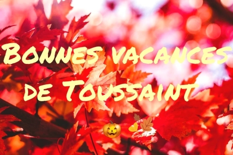 🍁Découvrez les Activités Incontournables pour Passer les Vacances de la Toussaint à Lyon 🕯️ 🍂
